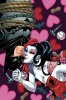 Harley Quinn, Volume 3 - Kiss Kiss Bang Stab (Hardcover) - Chad Hardin Photo