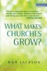 What Makes Churches Grow? - Vision and Practice in Effective Mission (Paperback) - Bob Jackson Photo