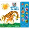  Animal Babies (Hardcover) - Eric Carle Photo