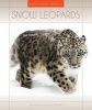 Snow Leopards (Hardcover) - Patricia Hutchison Photo