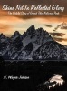 Shine Not in Reflected Glory - The Untold Story of Grand Teton National Park (Hardcover) - N Wayne Johnson Photo