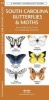 South Carolina Butterflies & Moths - A Folding Pocket Guide to Familiar Species (Pamphlet) - James Kavanagh Photo