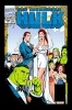 Incredible Hulk Epic Collection: Future Imperfect (Paperback) - Peter David Photo