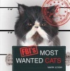 FBI's Most Wanted Cats (Hardcover) - Mark Leigh Photo