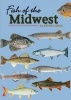 Fish of the Midwest Playing Cards (Cards) - Dave Bosanko Photo