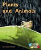 Plants and Animals (Paperback) - Stephen Rickard Photo