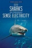 How Sharks and Other Animals Sense Electricity (Paperback) - Christine Honders Photo