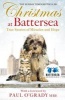 Christmas at Battersea: True Stories of Miracles and Hope (Paperback) - Battersea Dogs Cats Home Photo