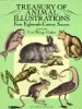 Treasury of Animal Illustrations from Eighteenth Century Sources (Paperback) - Carol Belanger Grafton Photo