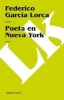 Un Poeta en Nueva York (Spanish, Paperback) - Federico Garcia Lorca Photo