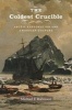 The Coldest Crucible - Arctic Exploration and American Culture (Paperback) - Michael F Robinson Photo