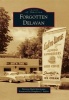 Forgotten Delavan (Paperback) - Patricia ruth Marsicano Photo