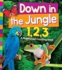 Down in the Jungle 1,2,3 - A Rainforest Counting Book (Hardcover) - Tracey E Dils Photo