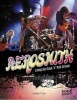 Aerosmith - Living the Rock 'n' Roll Dream (Hardcover) - William N Stark Photo