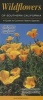 Wildflowers of Southern California - A Guide to Common Native Species (Poster) - Steven Hartman Photo