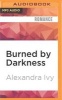 Burned by Darkness (MP3 format, CD) - Alexandra Ivy Photo