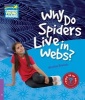 Why Do Spiders Live in Webs? Level 4 Factbook, Level 4 (Paperback) - Nicolas Brasch Photo