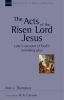 The Acts of the Risen Lord Jesus - Luke's Account of God's Unfolding Plan (Paperback) - Alan J Thompson Photo