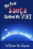 The Year Santa Stubbed His Toe (Paperback) - William M Hayes Photo