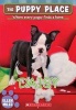 Daisy (the Puppy Place #38) (Paperback) - Ellen Miles Photo