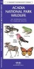 Acadia National Park Wildlife - A Folding Pocket Guide to Familiar Species (Pamphlet) - James Kavanagh Photo