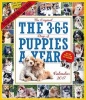 The 365 Puppies-A-Year Picture-A-Day Wall Calendar 2017 (Calendar) - Workman Publishing Photo