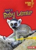 Meet a Baby Lemur (Paperback) - Samantha Bell Photo