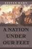 A Nation Under Our Feet - Black Political Struggles in the Rural South from Slavery to the Great Migration (Paperback, Revised) - Steven Hahn Photo