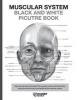 Muscular System Black and White Picture Book - Guide for the Muscular System (Paperback) - Pamphlet Books Photo