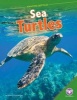 Sea Turtles (Hardcover) - Nancy Furstinger Photo