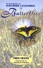 An Introduction to Southern California Butterflies (Paperback) - Fred Heath Photo