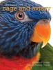 The Handbook of Cage and Aviary Birds (Paperback) - Matyhew M Vriends Photo