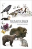 The Arctic Guide - Wildlife of the Far North (Paperback) - Sharon R Chester Photo