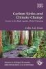 Carbon Sinks and Climate Change - Forests in the Fight Against Global Warming (Paperback) - Colin AG Hunt Photo