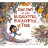 One Day in the Eucalyptus, Eucalyptus Tree (Hardcover) - Daniel Bernstrom Photo