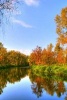 Picturesque Autumn Landscape of a Stream in Virginia - Blank 150 Page Lined Journal for Your Thoughts, Ideas, and Inspiration (Paperback) - Unique Journal Photo