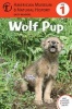 Wolf Pup, Level 1 (Paperback) - Wendy Pfeffer Photo