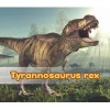 Tyrannosaurus Rex (Paperback) - Daniel Nunn Photo