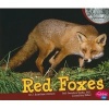 Red Foxes (Paperback) - J Angelique Johnson Photo