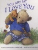 You are My I Love You (Board book) - Maryann Cusimano Love Photo