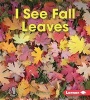 I See Fall Leaves (Hardcover) - Mari Schuh Photo