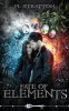 Fate of Elements - Skeleton Key (Paperback) - M Stratton Photo