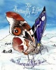 The Butterfly Effect (Paperback) - Robin Stratton Photo