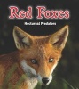 Red Foxes - Nocturnal Predators (Paperback) - Rebecca Rissman Photo