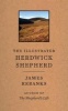 The Illustrated Herdwick Shepherd (Hardcover) - James Rebanks Photo