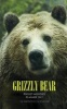 Grizzly Bear Pocket Monthly Planner 2017 - 16 Month Calendar (Paperback) - David Mann Photo