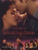 The Twilight Saga Breaking Dawn, Part 1 - The Official Illustrated Movie Companion (Paperback) - Mark Cotta Vaz Photo