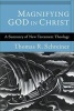 Magnifying God in Christ - A Summary of New Testament Theology (Paperback) - Thomas R Schreiner Photo