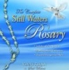 The Complete Still Waters Rosary (Standard format, CD) - Vinny Flynn Photo