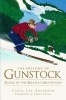 The History of Gunstock - Skiing in the Belknap Mountains (Paperback) - Carol Lee Anderson Photo